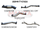 Toyota Landcruiser VDJ79 V8 Ute 3in With Cat & WOM DPF