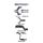 Ford FG GT 5.0L V8 SDN 2.5in L & R With Extractors Hotdog/Muffler