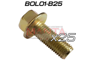 (Pack 25) M10 x 1.25 x 25mm x 14mm Head (Toyota 1HZ Extractor Bolt)