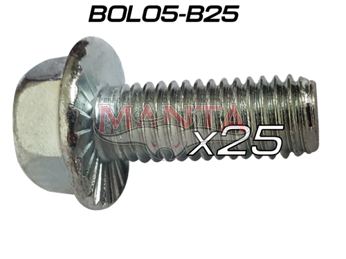 (Pack 25) 14mm Head 25mm x 10mm x 1.5p (Nissan Patrol, D22, Falcon Extractor Bolt)