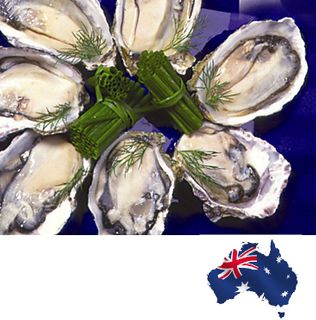 Oysters Tasmanian 12doz Box (Plate)