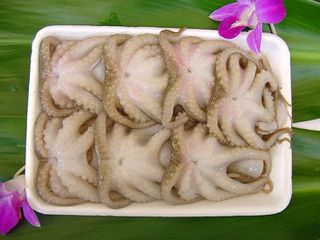Octopus Whole Baby 16/25 IQF