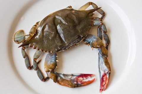 Crab Soft Shell 120/150gm (1kg)