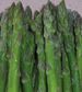 Asparagus Spears IQF "Sunnyside" 1kg