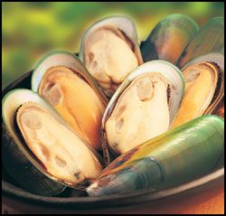 Mussels Half Shell NZ (Medium) 1kg