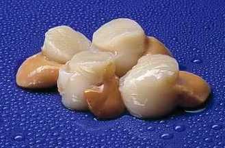 Scallops Roe On IQF (Chinese) 20/30