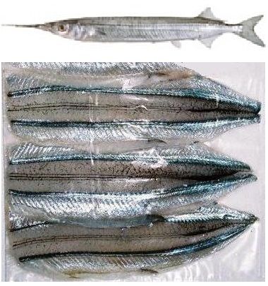 Garfish Fillets BOX Large 5kg