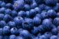 Blueberries Frozen IQF "Ground Value"