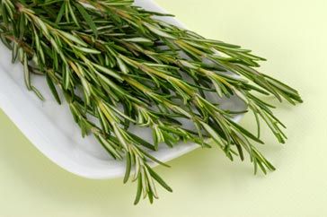 Rosemary "McKenzies" 500gm