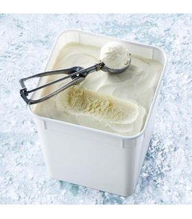 Ice Cream "Everest" Vanilla 10Lt