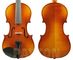 Raggetti 4/4 RV2 Violin Outfit