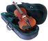 Raggetti 3/4 RV2 Violin Outfit