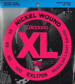 D'Addario EXL170S 45-100 SS  Bass String