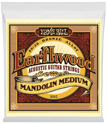 Ernie Ball E2065 Med Mandolin Strings