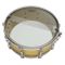 Remo SA-0114-00 AMB Snare Side 14in