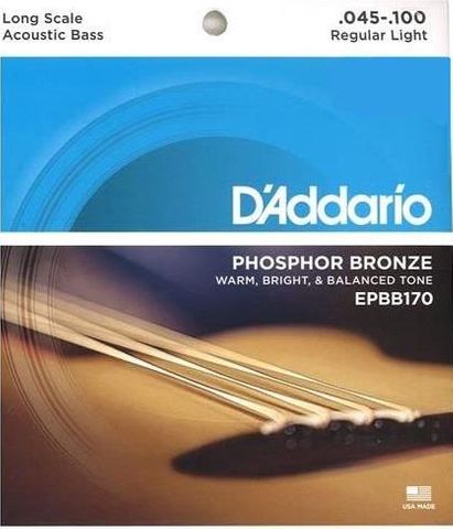 D'Addario EPBB170 45-100 Long Scale Strg