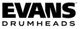 Evans 10in Gen G1 Clr Drum Head