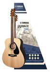 Yamaha Gigmaker 310 Guitar Pack
