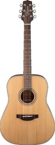 Takamine TGD20NS Dnought Acoustic Guitar