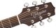 Takamine TGD20NS Dnought Acoustic Guitar