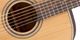 Takamine TGD20NS Dnought Acoustic Guitar