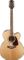 Takamine TGJ72CENAT Jumbo Ac/El Guitar