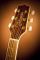 Takamine TGJ72CENAT Jumbo Ac/El Guitar