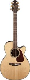 Takamine TGN71CENAT Nex Ac/El Guitar