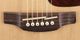 Takamine TGN71CENAT Nex Ac/El Guitar