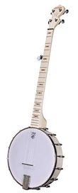 Deering Goodtime Openback Banjo