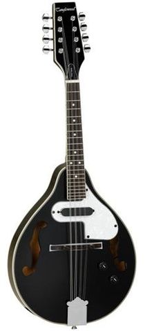 Tanglewood MTBKPE Ac/El Mandolin