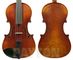 Raggetti 4/4 RV7AE Violin Outfit