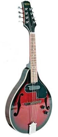 Bryden SMA50E Ac/El Mandolin