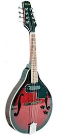 Bryden SMA50E Ac/El Mandolin