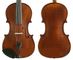 Gliga III 15.5in VIOLA Outfit