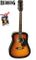 Redding Ac/El 12 String Tobacco SB Guit