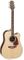 Takamine D71CENAT Ac/El Guitar