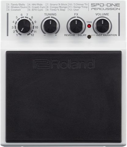 Roland SPD1P Percussion Sampling Pad