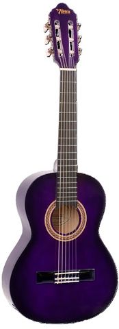 Valencia 1/2 PURP 100 Series Classic Gtr
