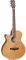 Tanglewood TW9LH Winterleaf Ac/El Guitar