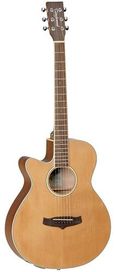 Tanglewood TW9LH Winterleaf Ac/El Guitar