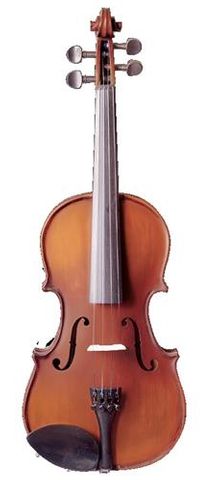 Vivo 3/4 Neo Student VIOLIN Outfit
