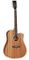 Tanglewood TUN5CE Ac/El Union Guitar