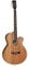 Tanglewood TWUSFCE Ac/El Union Guitar