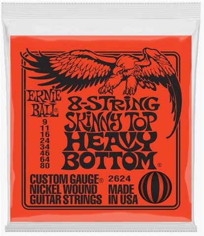 Ernie Ball 009-080 8 String Electric Gtr