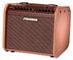 Fishman Loudbox Mini Charge Acoustic Amp