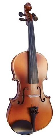 Vivo 13in Neo Student VIOLA Outfit