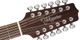 Takamine TGD30-CE 12 String Ac/El Guitar