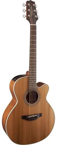 Takamine TGN20CENS Ac/El Guitar
