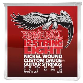 Ernie Ball E2233 12 String Light Slinky